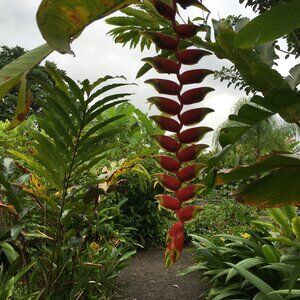 Meet your Posher, Jocelyn